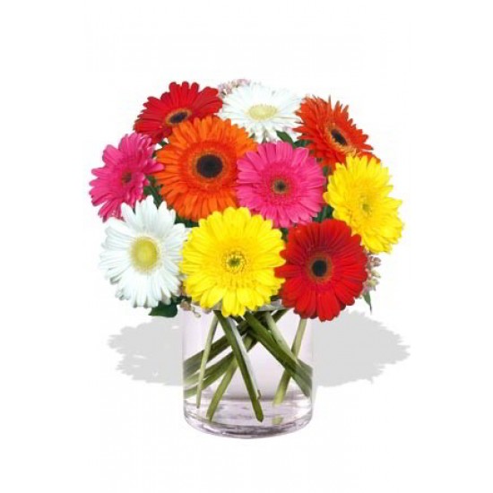 10 Gerbera Vase Bouquet