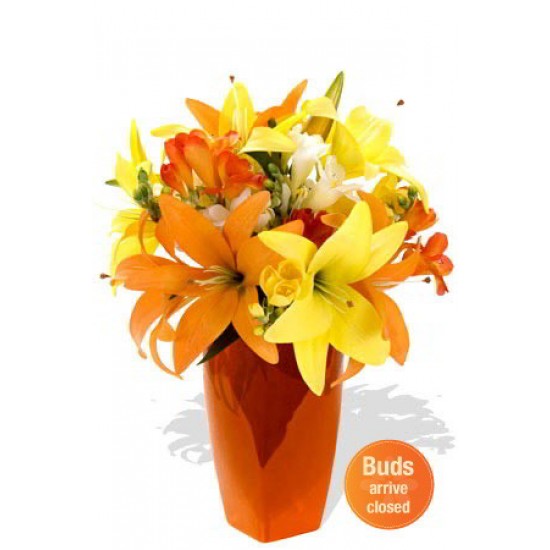 Mixed Asiatic and Freesia Bouquet ,6 Lily and 3 Freesia