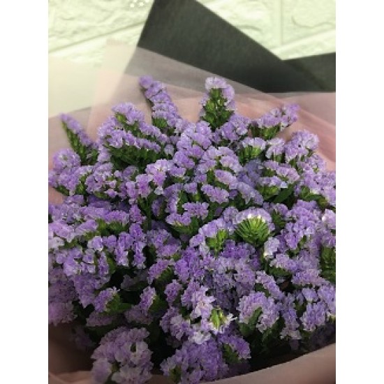 Daily Special Discount Flowers - Forget me Not Bouquet