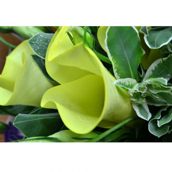 10pcs Yellow Calla Lily Bouquet